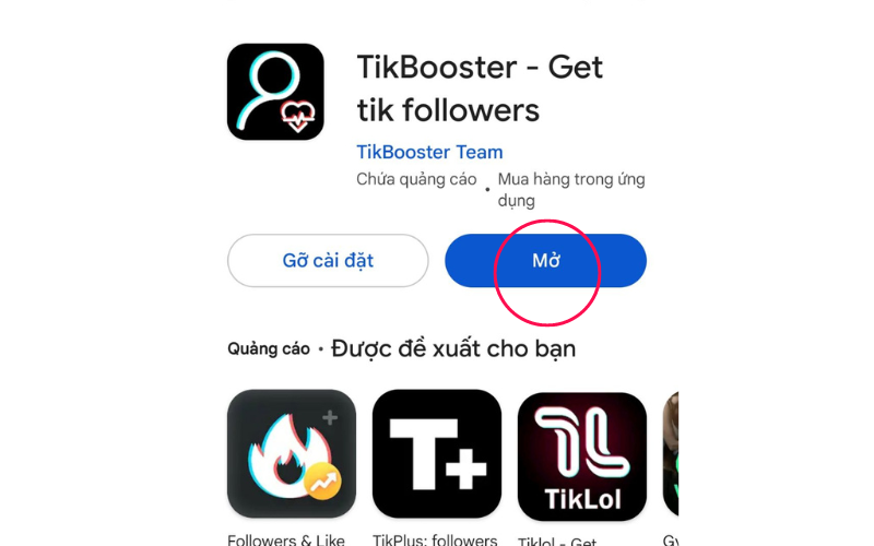 TikBooster 1