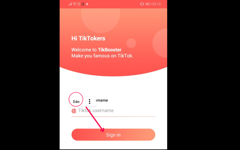 TikBooster 2