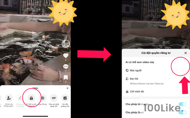 Chế độ đăng của video cũ