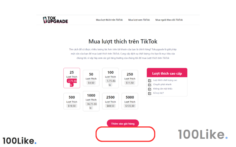 Tiếp đến bạn nhấn chọn thêm gói dịch vụ vào giỏ hàng