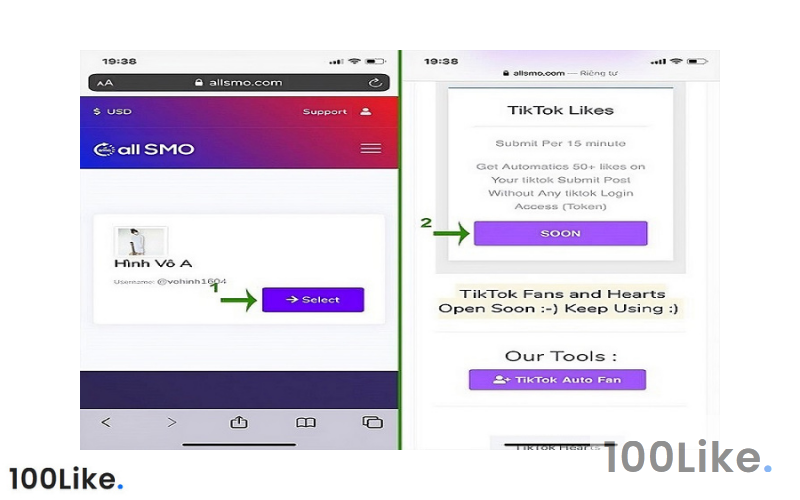 Tăng Like TikTok bằng web Allsmo