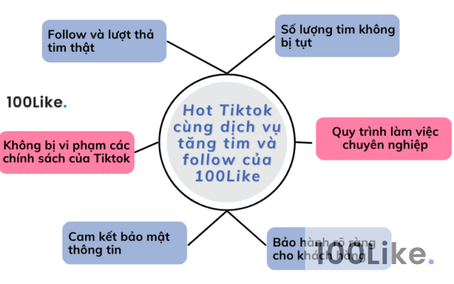 Hot Tiktok cùng dịch vụ tăng tim và follow của 100Like