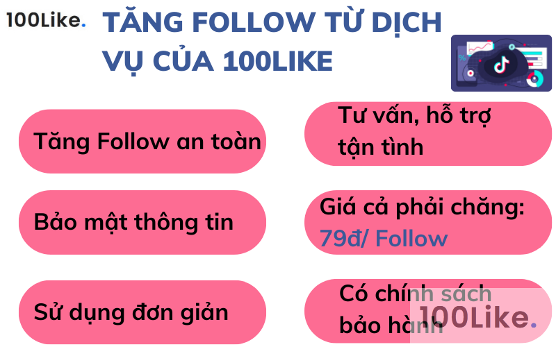 Tăng Follow Tiktok từ dịch vụ của 100Like