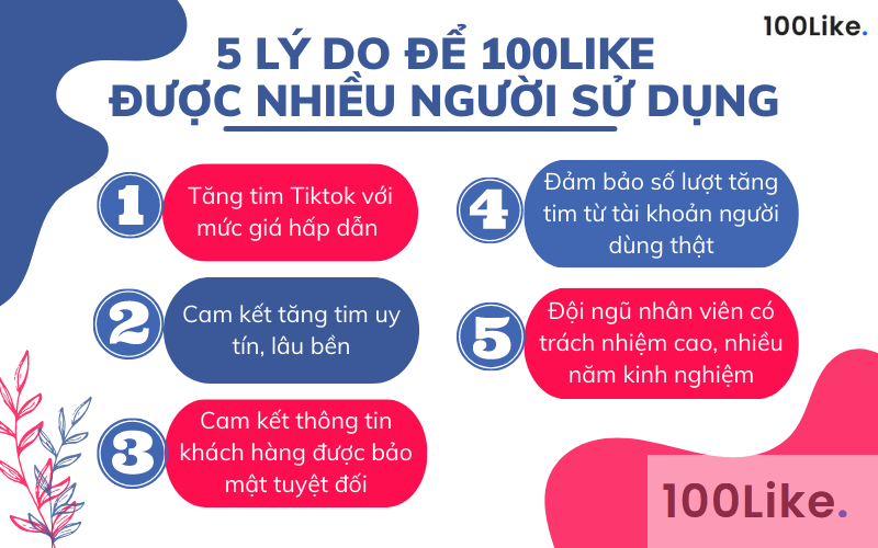 Lý do nhiều người chọn App/Web 100Like.vn thay vì các cách tăng Tim Tiktok khác