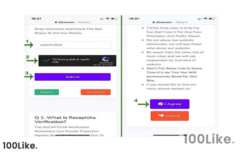 Nhập “User” và nhập Captcha, nhấn Submit