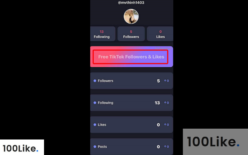 Dán TikTok ID vào @Username