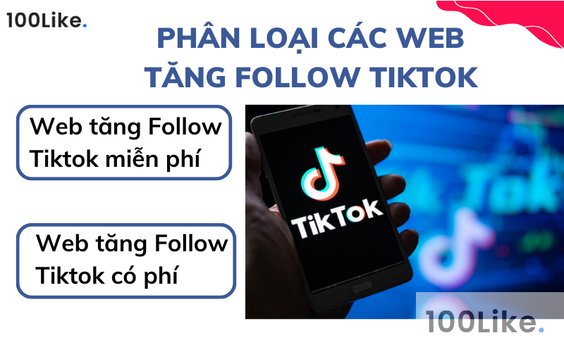 Phân loại các Web tăng Follow Tiktok