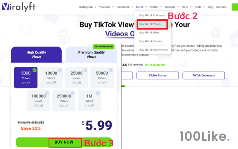 Tăng View Tiktok free tự động - Viralyft bước 2