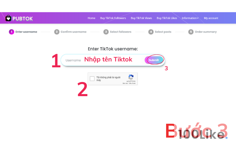 Tool miễn phí tăng View Tiktok – PubTok bước 3