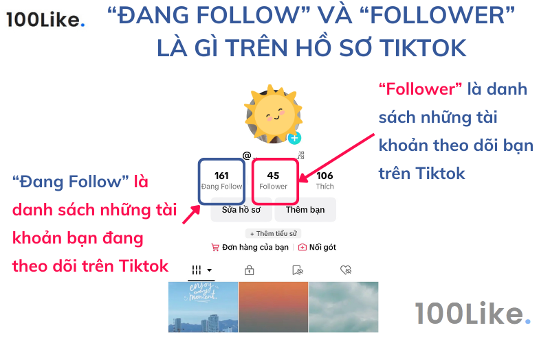“Đang Follow” và “Follower”  là gì trên hồ sơ Tiktok