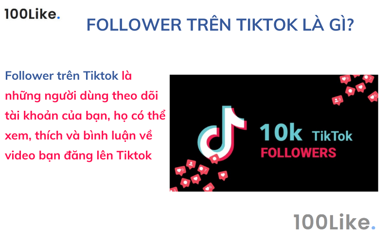 Follower trên Tiktok là gì?
