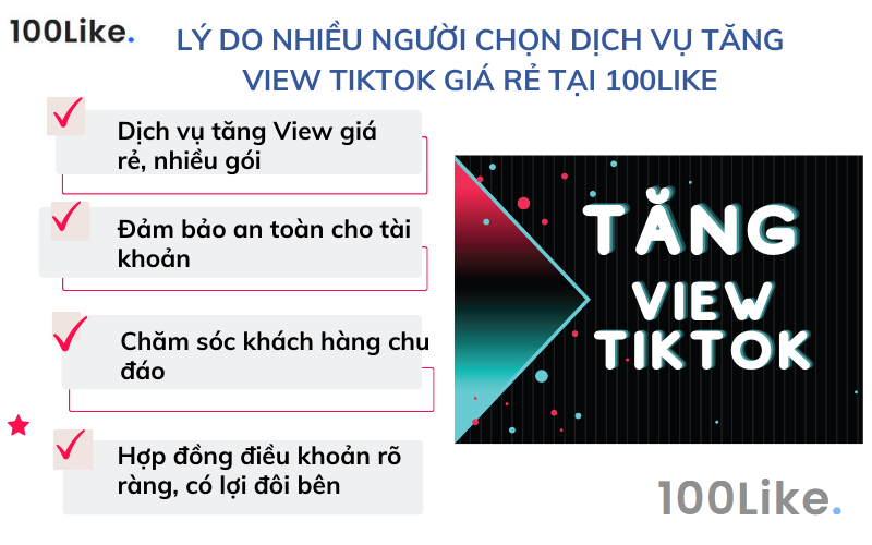 Lý do nhiều người chọn dịch vụ tăng View Tiktok giá rẻ tại 100Like