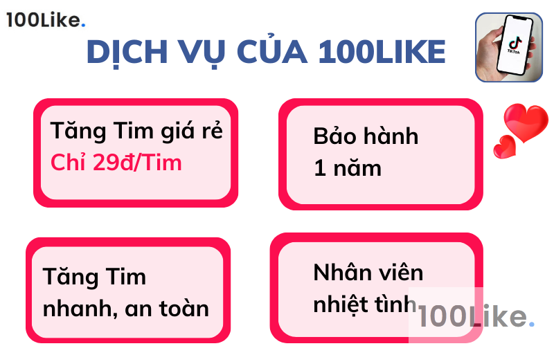 Dịch vụ của 100Like