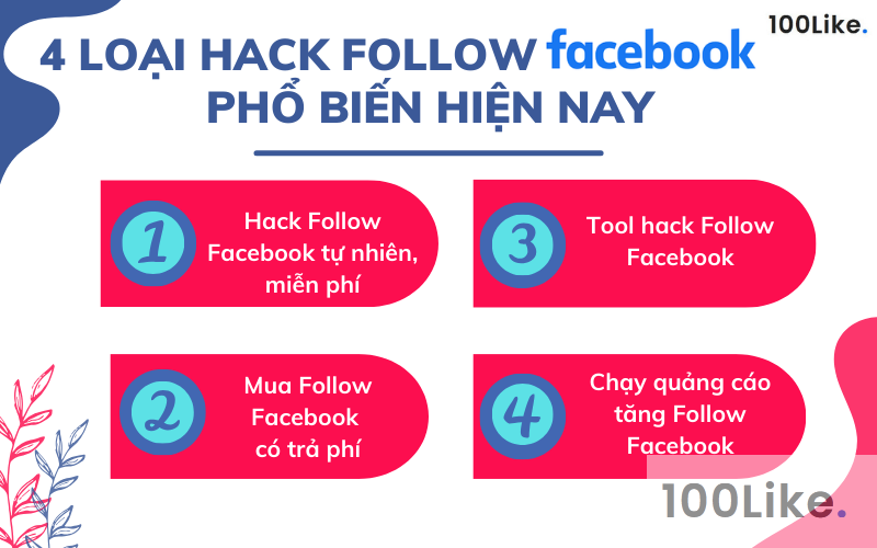 Có những loại hack Follow Facebook nào?