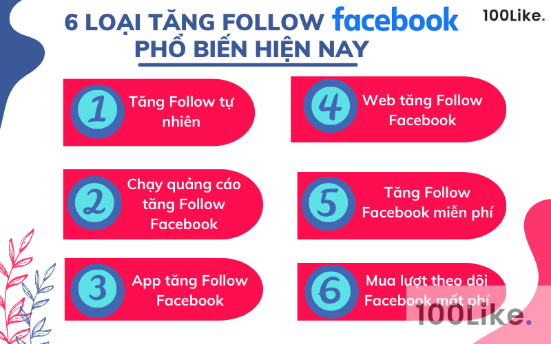 Có những loại tăng Follow Facebook nào?