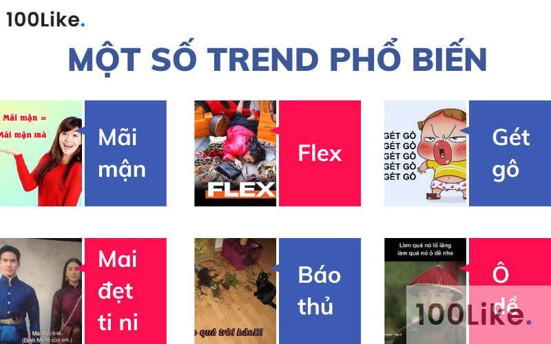 Một số Trend phổ biến