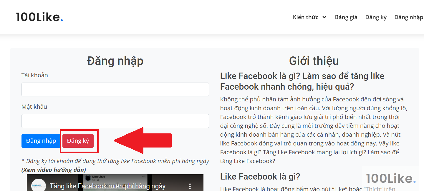 Dịch vụ của 100Like