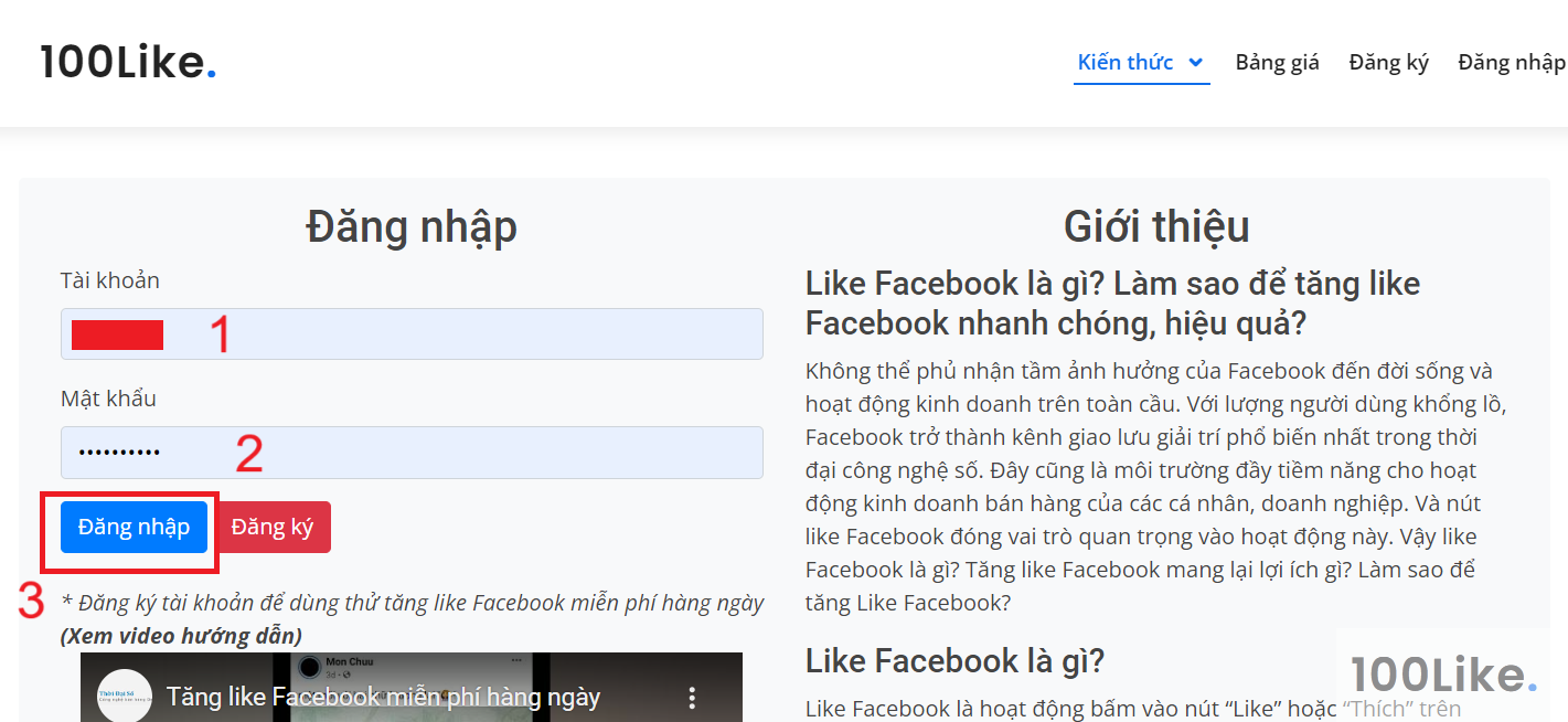 Dịch vụ của 100Like
