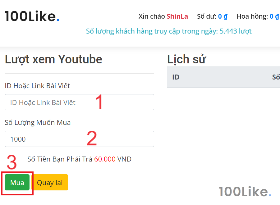 Dịch vụ tăng View của 100Like