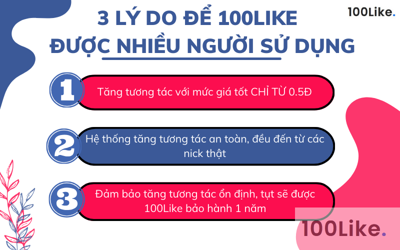 Web/App 100Like.vn - Tăng tương tác Tiktok đơn giản, hiệu quả 100%