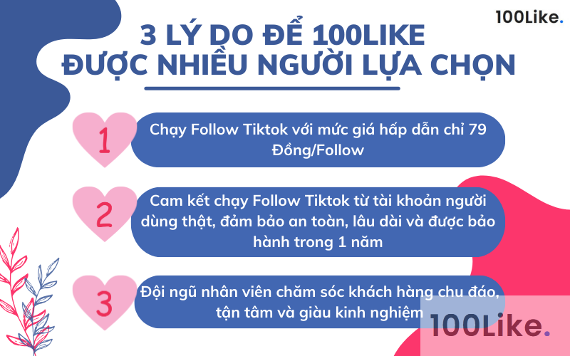 Lý do nhiều người chọn App/Web 100Like.vn thay vì những cách chạy Follow Tiktok khác
